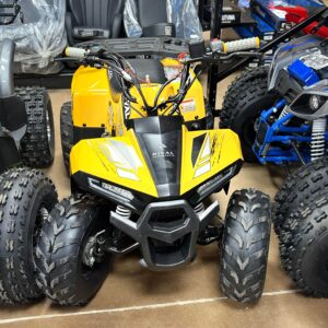 TAO MOTOR MUD HAWK 6 110CC YELLOW